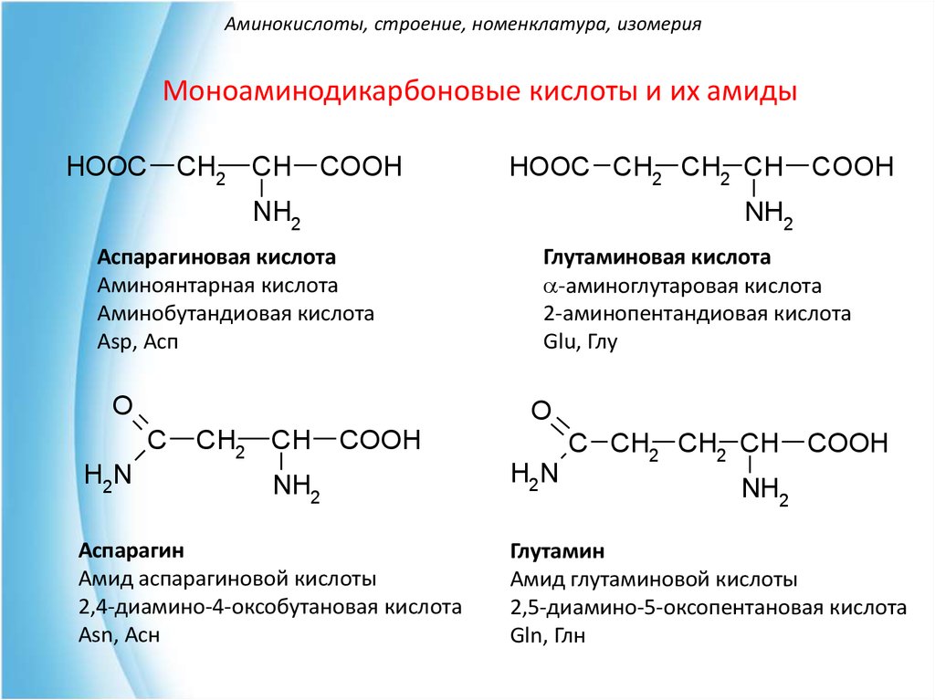 Изомерия бутановой кислоты. Глутаминовая кислота по номенклатуре. Глутаминовая кислота по международной номенклатуре. Диаминокарбоновая кислота формула. Глутаминовая кислота аминокислота.