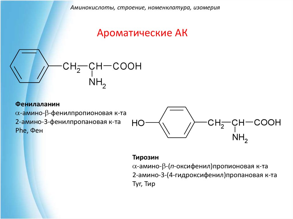 Изомерия аминов. Ароматические Амины номенклатура и изомерия. Тирозин название по номенклатуре. Тирозин аминокислота формула структурная. Тирозин структурная формула.