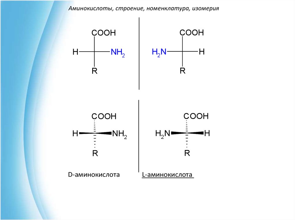 Строение аминокислот