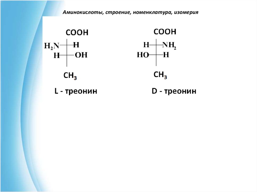 Изомерия аминов. Строение аминокислот номенклатура изомерия. Стереоизомерия аминокислот. Строение, номенклатура, изомерия. Аминокислоты строение номенклатура.