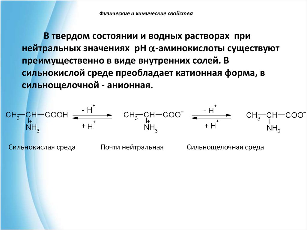 Аминокислоты бывают. Заряд Валина в сильнокислой среде. Сильнокислая среда. Протонированная форма аминокислоты реакционно способности.