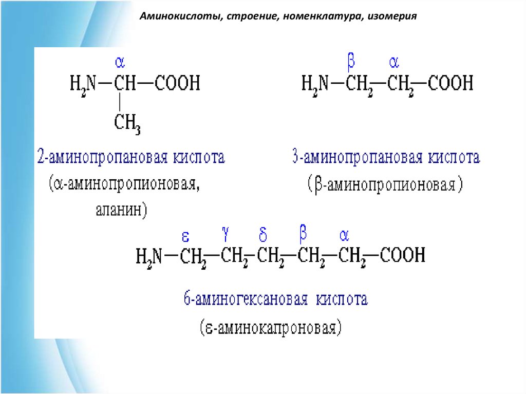 Формула аминопропионовой кислоты. Номенклатура Аминов. Строение Аминов.. Строение, номенклатура, изомерия. Строение классификация изомерия и номенклатура аминокислот. Аминокислоты номенклатура и изомерия.