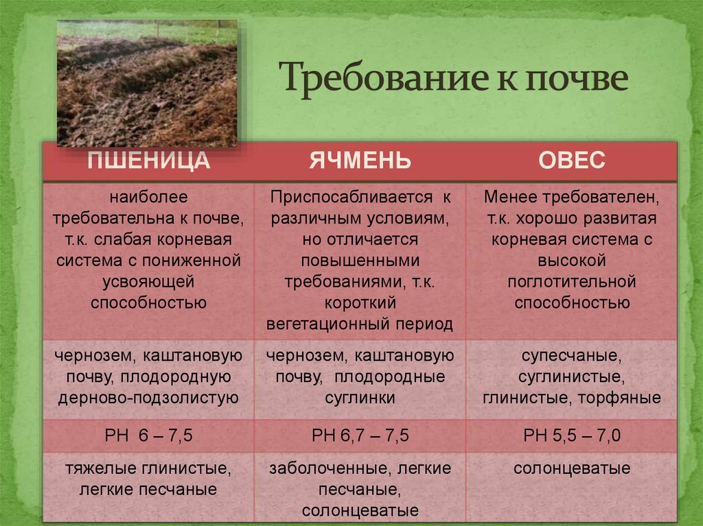 Требования к почве