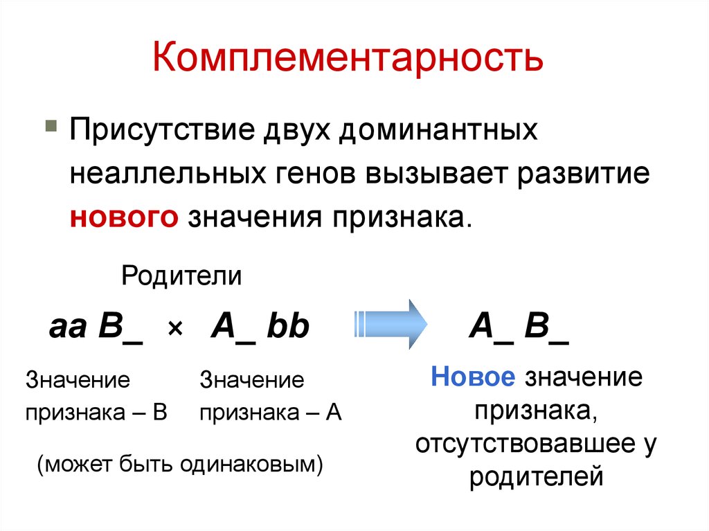 Известно что комплементарные. Задачи на комплементарность генов. Комплементарность биология генетика. Комплементарность генетике комплементарность. Комплементарность примеры.