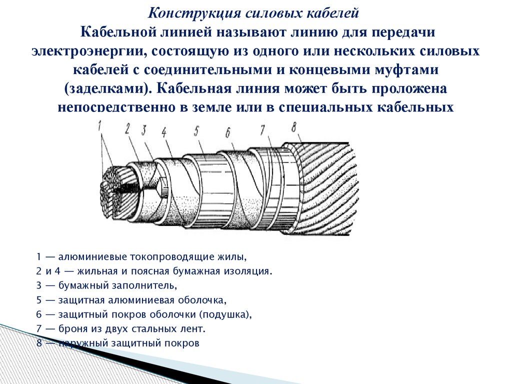 Силовая жила