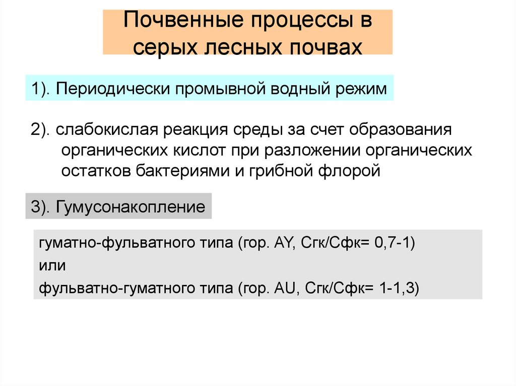 Периодичный 1. Процессы в серых лесных почвах. Тип водного режима на серых лесных почвах. Периодически промывной Водный режим. Периодически промывной Тип водного режима почв.