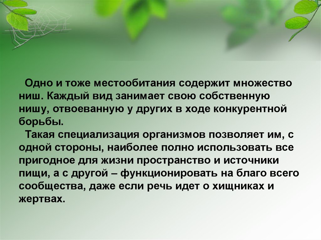 План экскурсии в лес в начальной школе