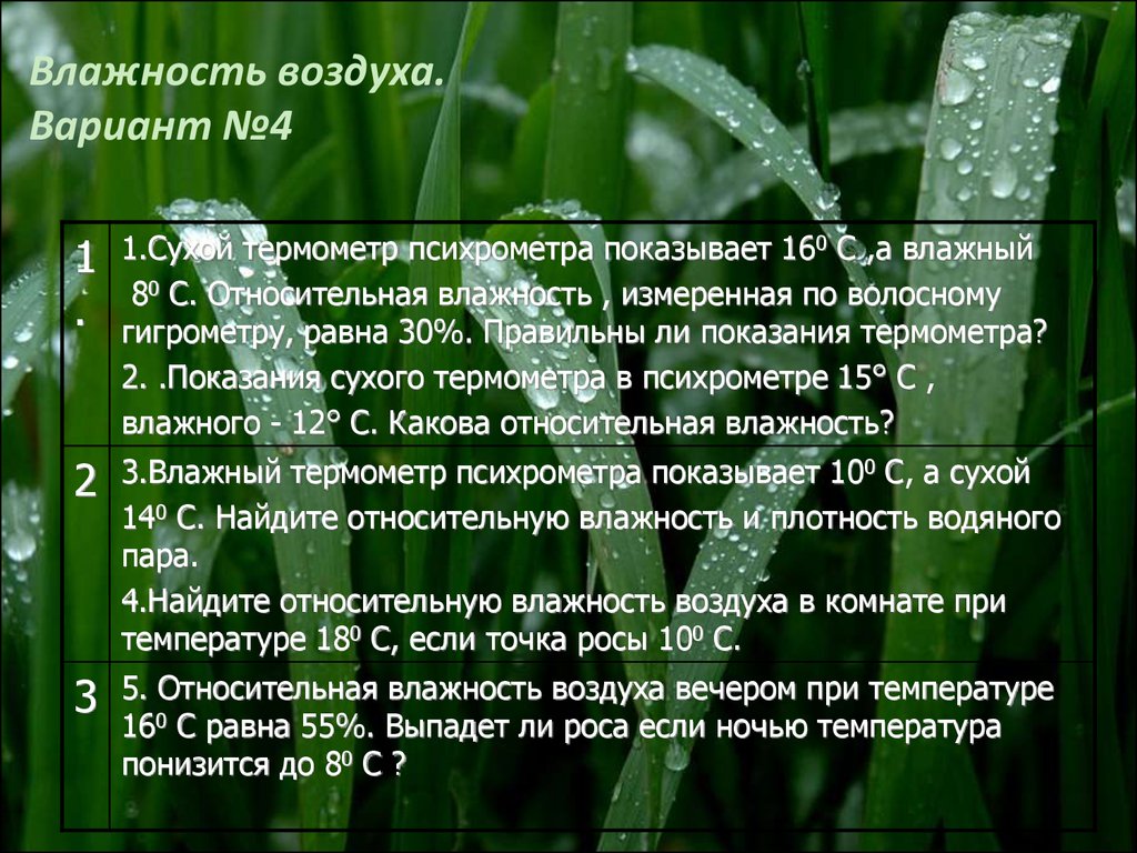 Петербург влажность воздуха. Влажность воздуха. Влажность в лесу. Презентация на тему влажность воздуха. Загадки на тему влажность воздуха.