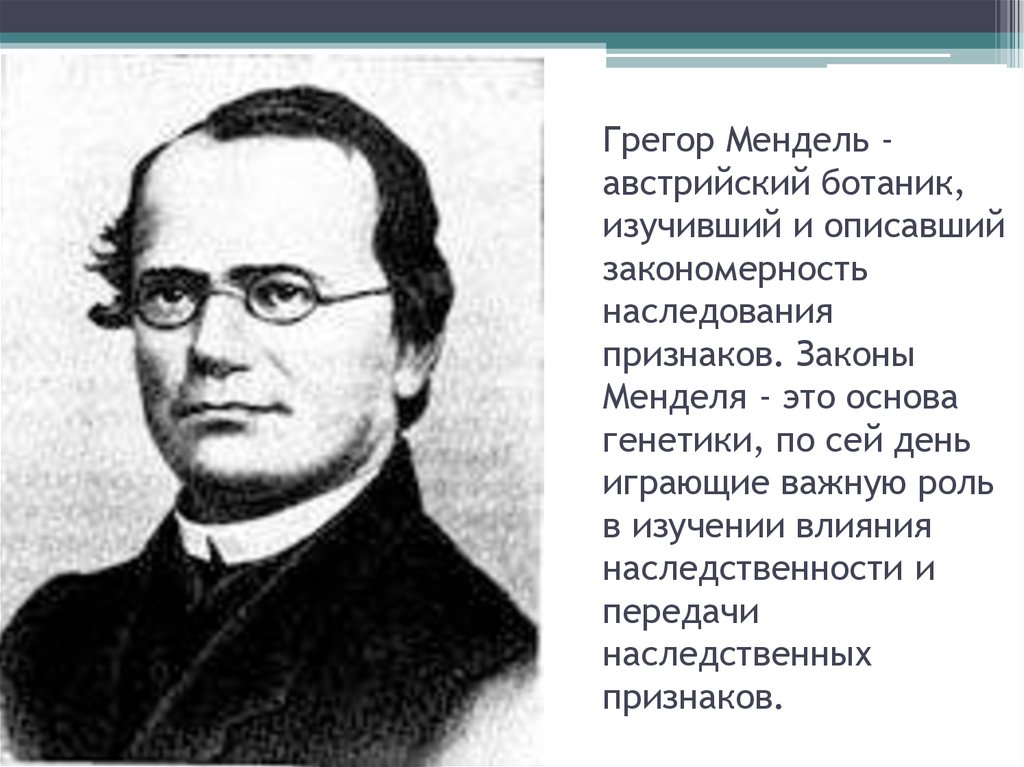 Мендель основы генетики. Грегор Мендель. 1831 Грегор Мендель. Фотография Грегор Мендель генетик. Грегор Мендель в детстве.