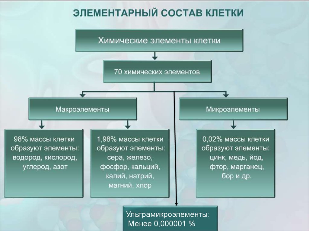 Интеллект карта химический состав клетки - 93 фото