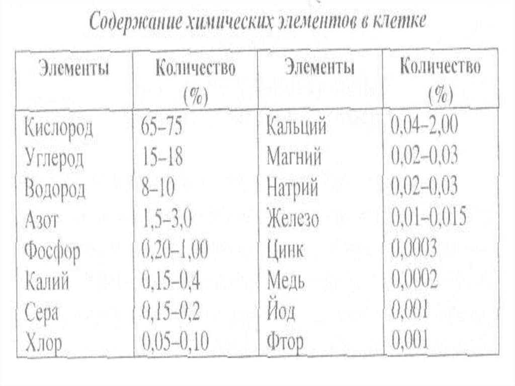 Сколько элементов в составе клетки