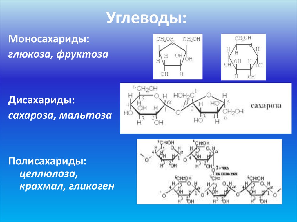 Тривиальные названия углеводов добавьте к изображениям названия углеводов