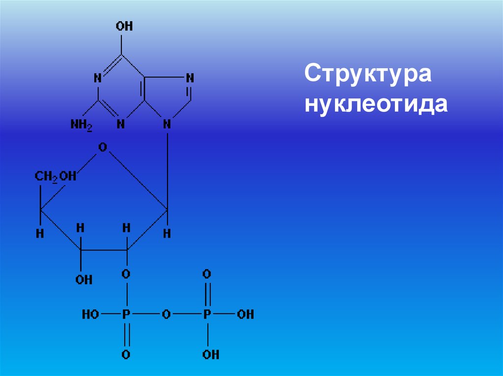 Химический состав клетки ультрамикроэлементы. Структура нуклеотидов геометрические фигуры. Дизоксеребону клеотид. E0 в химии.