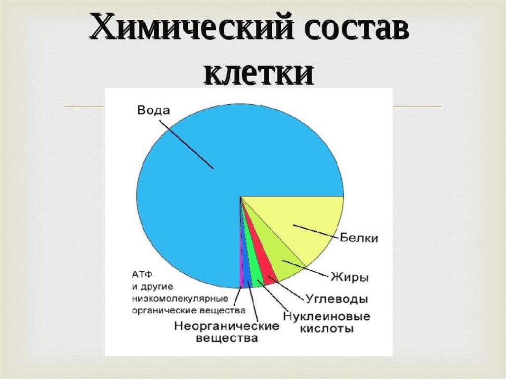 На диаграмме представлено содержание основных химических веществ в клетках растений и животных