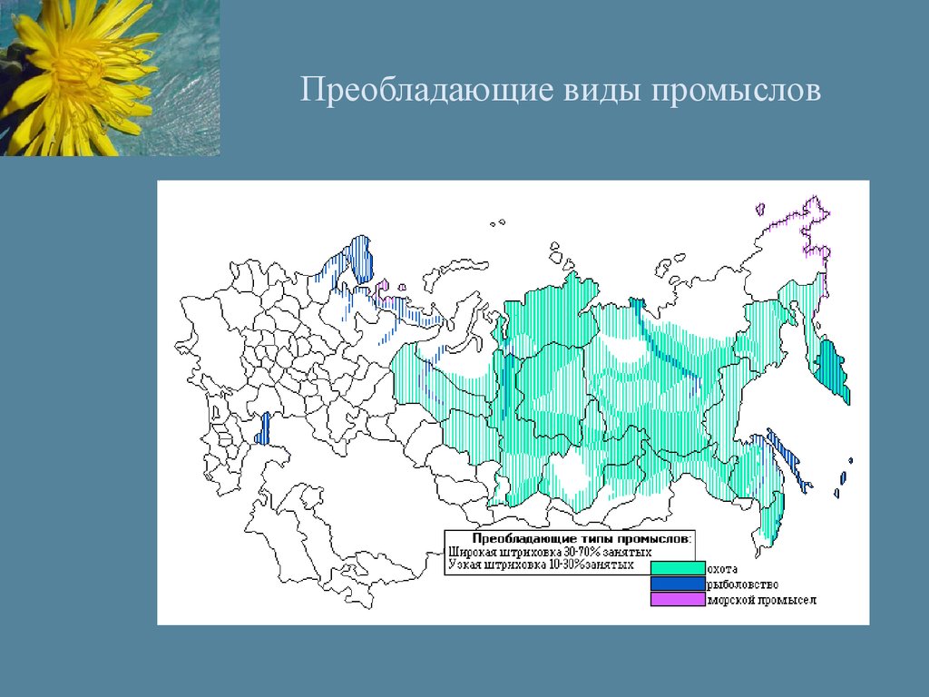 Преобладающий вид. Виды промысла в биологии. Виды промыслов биология. Типы промыслов в биологии.