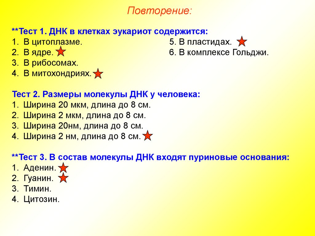 Днк содержится в ядре. Размер молекулы ДНК. Длина молекулы ДНК человека. Размер ДНК человека. Размеры молекулы ДНК У человека ширина.