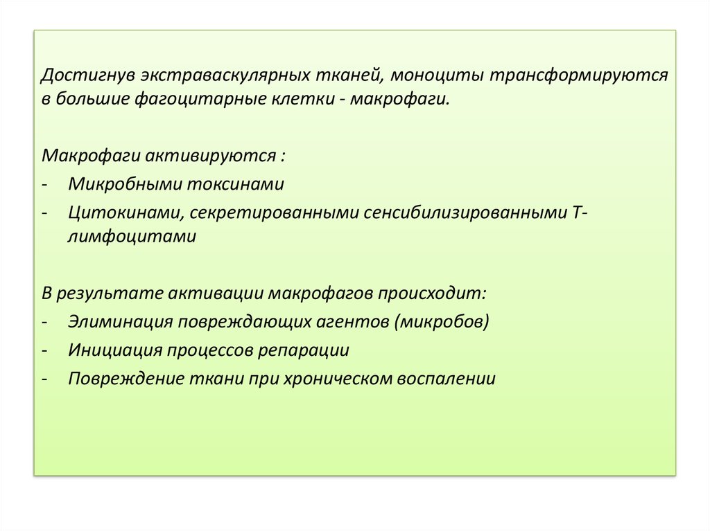 Хроническое воспаление презентация