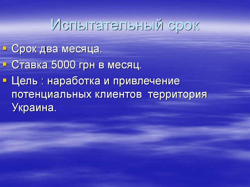 Испытательный срок