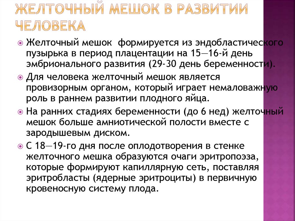 Мешок при беременности. Желточный мешок. Желчный мешок. Желточный мешок формируется. Функции желточного мешка у зародыша.