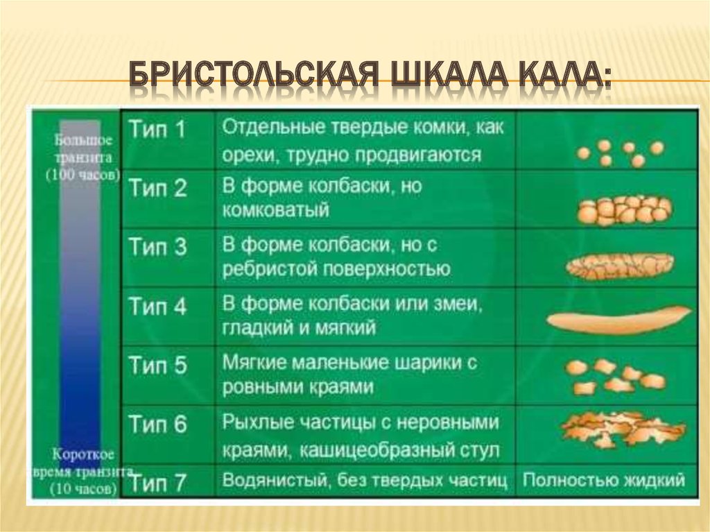 Светлый кал у взрослого человека причины. Бристольская шкала кала для детей. Бристольская шкала формы стула Тип 2. Бристольская шкала формы кала у детей. Стул Тип 2 по Бристольской шкале.