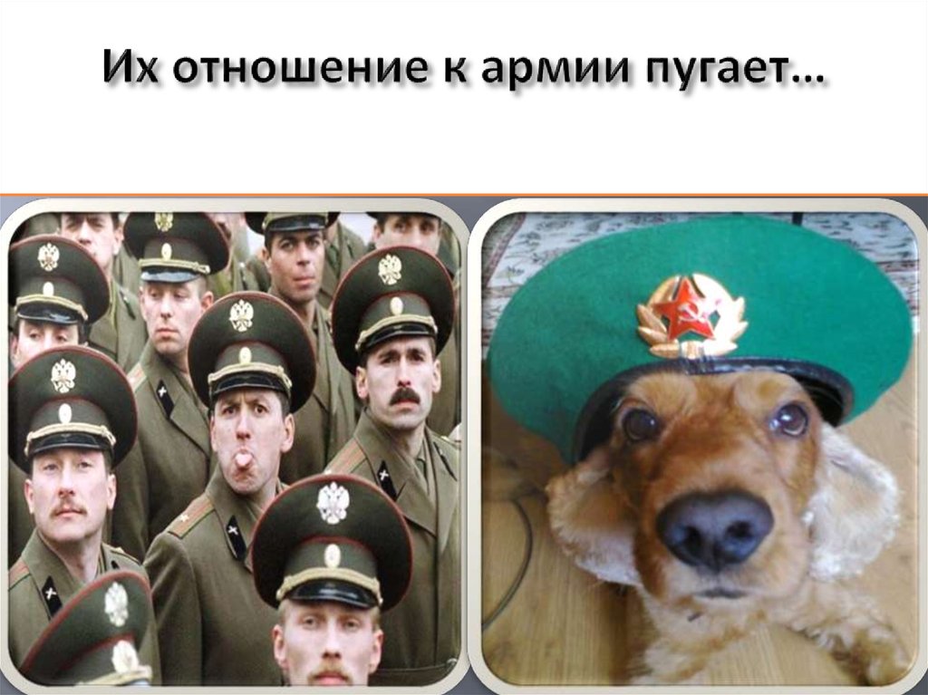 Их отношение к армии пугает…