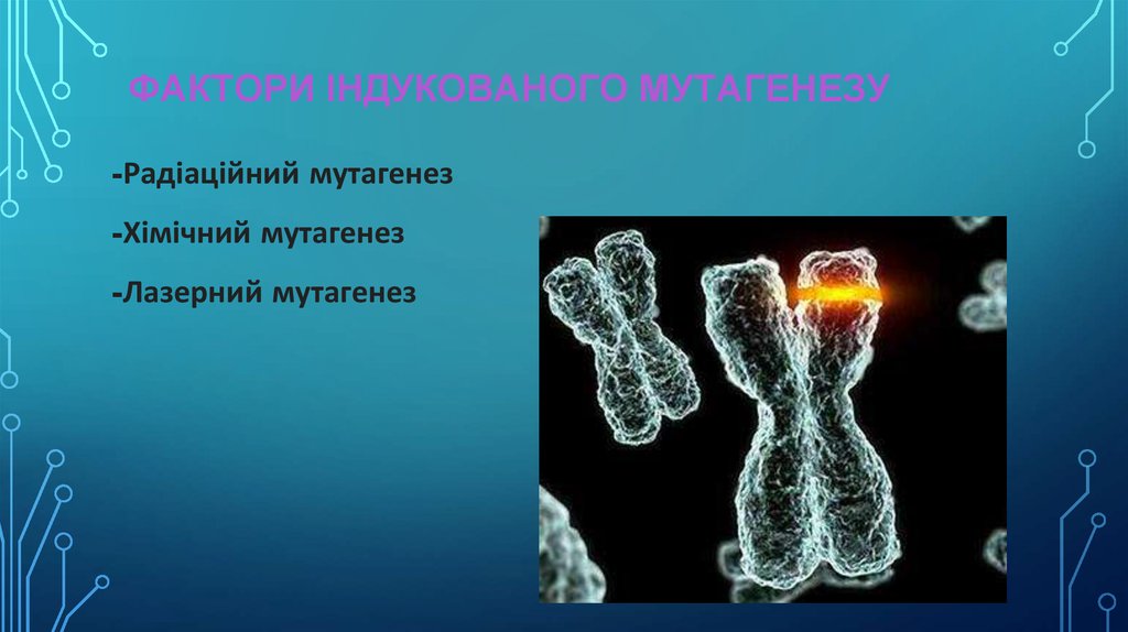 Мутагенез метод генетики. Мутагенез микроорганизмов. Искусственный мутагенез микроорганизмов. Мутагенез в селекции микроорганизмов. Искусственный мутагенез растений.