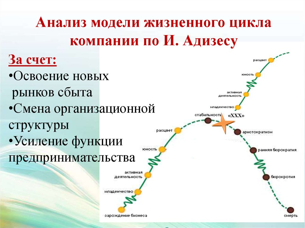 Анализ цикла организации