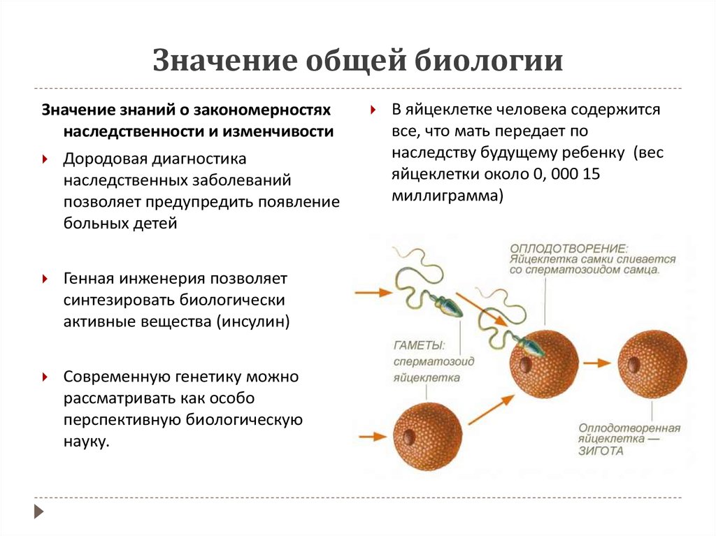 Значение биологии сообщение