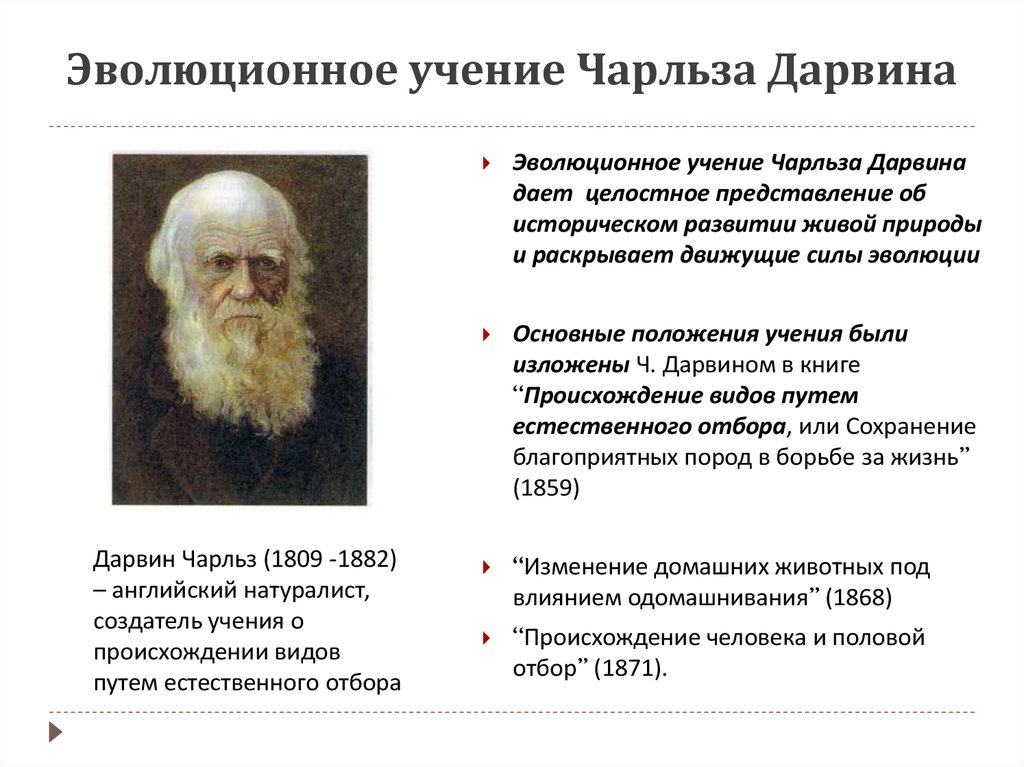 Возникновение эволюционной теории. Эволюционное ученик Чарльза Дарвина. Вклад в развитие эволюционных идей Дарвина. Эволюционное течение Дарвина.