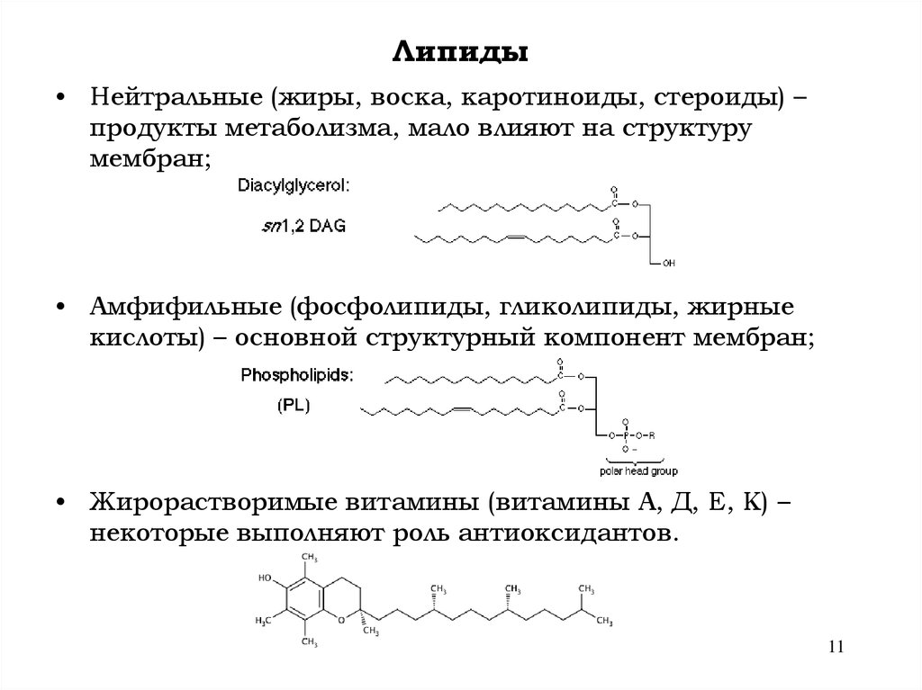 Аминокислоты жиры липиды. Фосфолипиды стероиды и воска. Липиды нейтральные жиры воска фосфолипиды стероиды. Триглицериды и фосфолипиды строение.