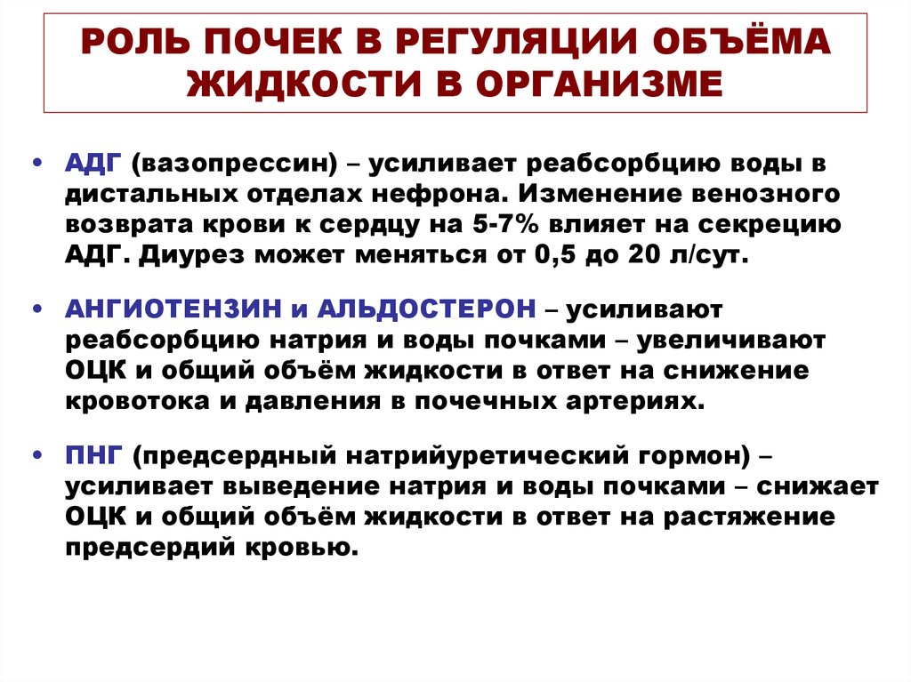 Роль 10. Участие почек в регуляции ОЦК. Роль АДГ В регуляции объема жидкости в организме. Участие почек в регуляции объема циркулирующей крови. Роль почек в регуляции объема жидкости.