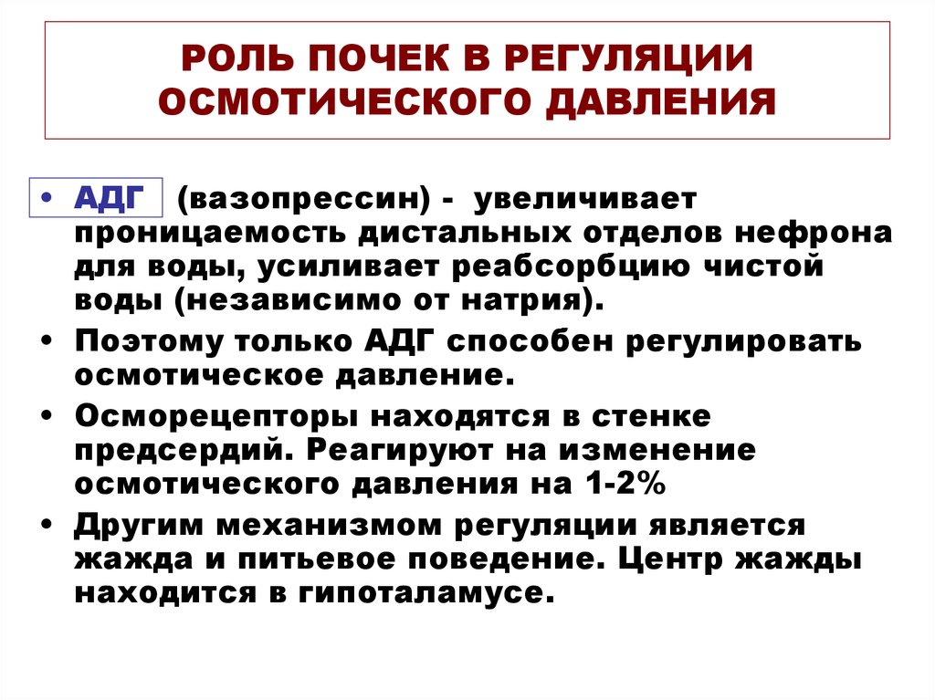 Почечное давление. Регуляция артериального давления почками. Участие почек в регуляции осмотического давления. Регуляция осмотического давления. Роль почек в регуляции осмотического давления.