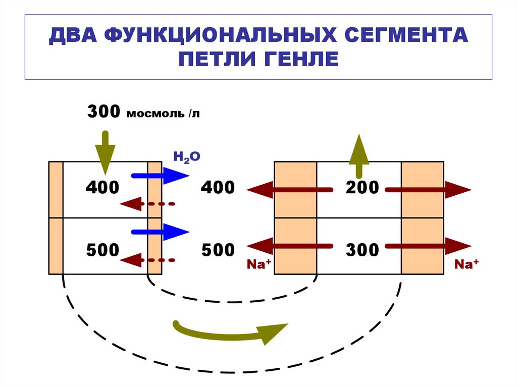 Несколько функциональных. Петля сегментов трека.