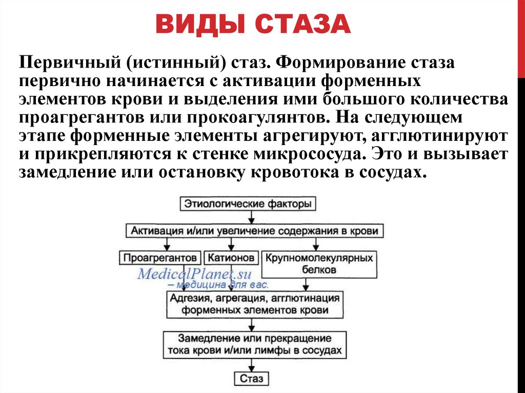 Причины механизмы. Патогенез истинного стаза. Схема механизма истинного капиллярного стаза. Механизм развития стаза. Механизм развития стаза: истинного и капиллярного..