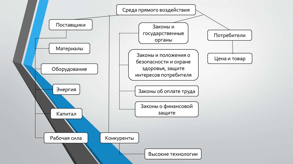 Среди среды. Поставщики потребители законы и государственные органы. Внешняя среда потребители и поставщики. Поставщики и потребители капитала. Из внешней среды в организацию поступают.