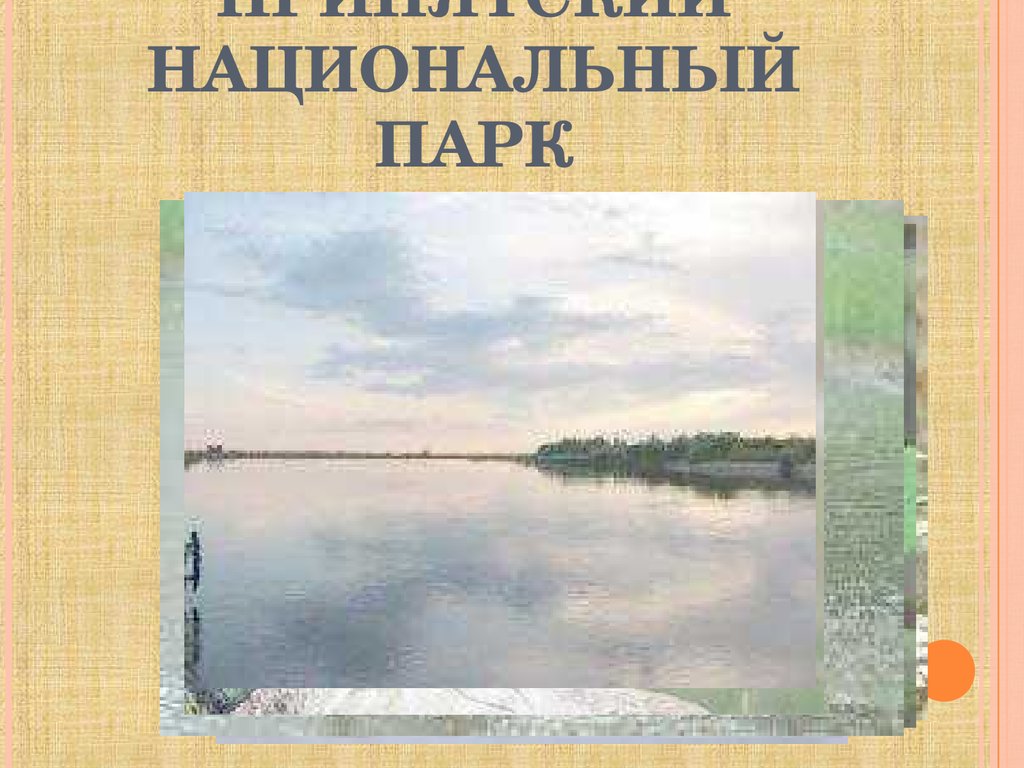 Припятский национальный парк презентация