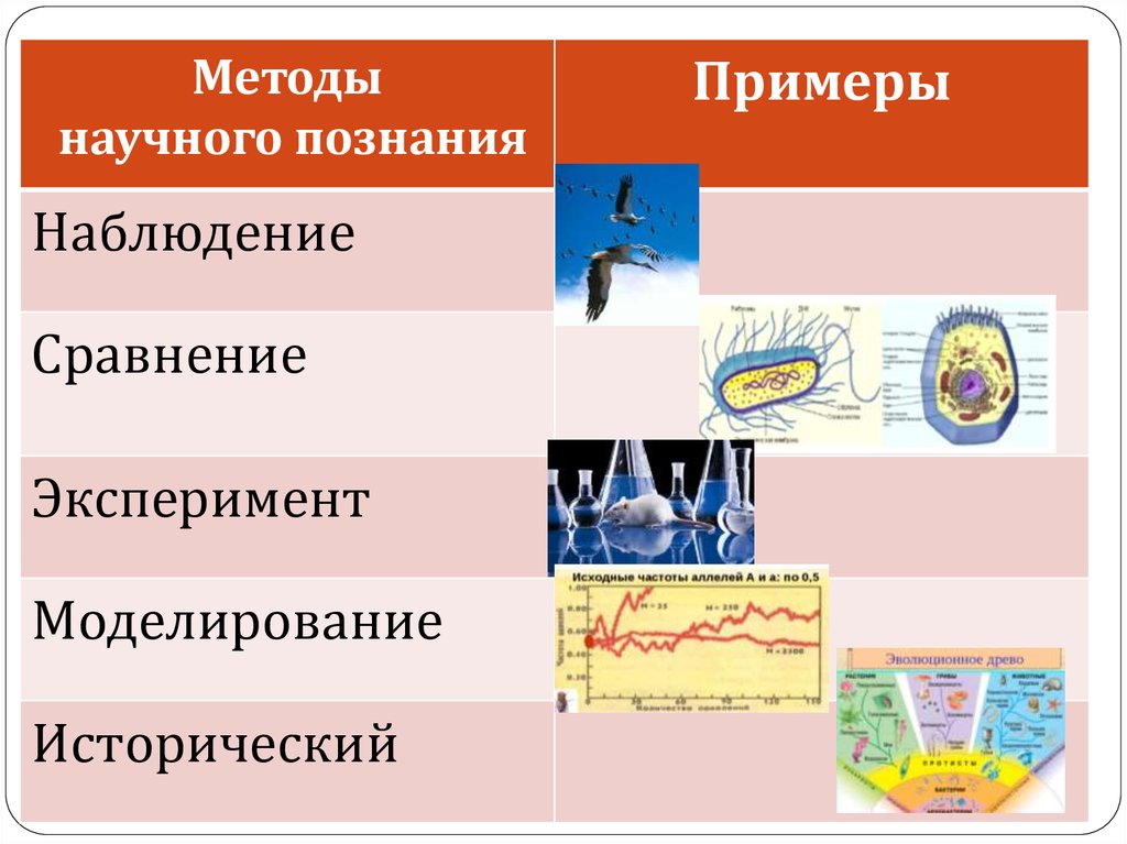 Пример познания в жизни