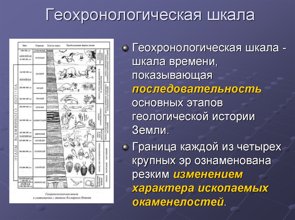 Развитие жизни на земле таблица по эрам биология 9 класс презентация