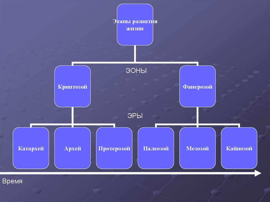 Этапы жизни на земле. Этапы развития жизни. Этапы развития жизни на земле. Основные этапы развития жизни. Эоны.