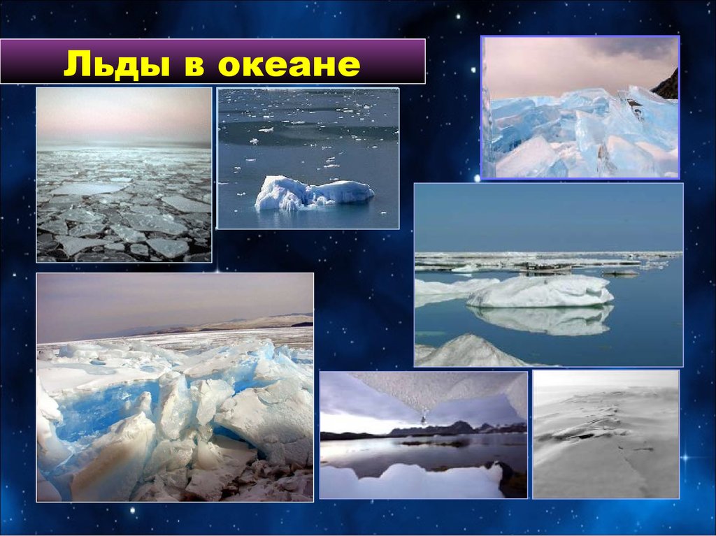 Теплое течение ледовитого океана