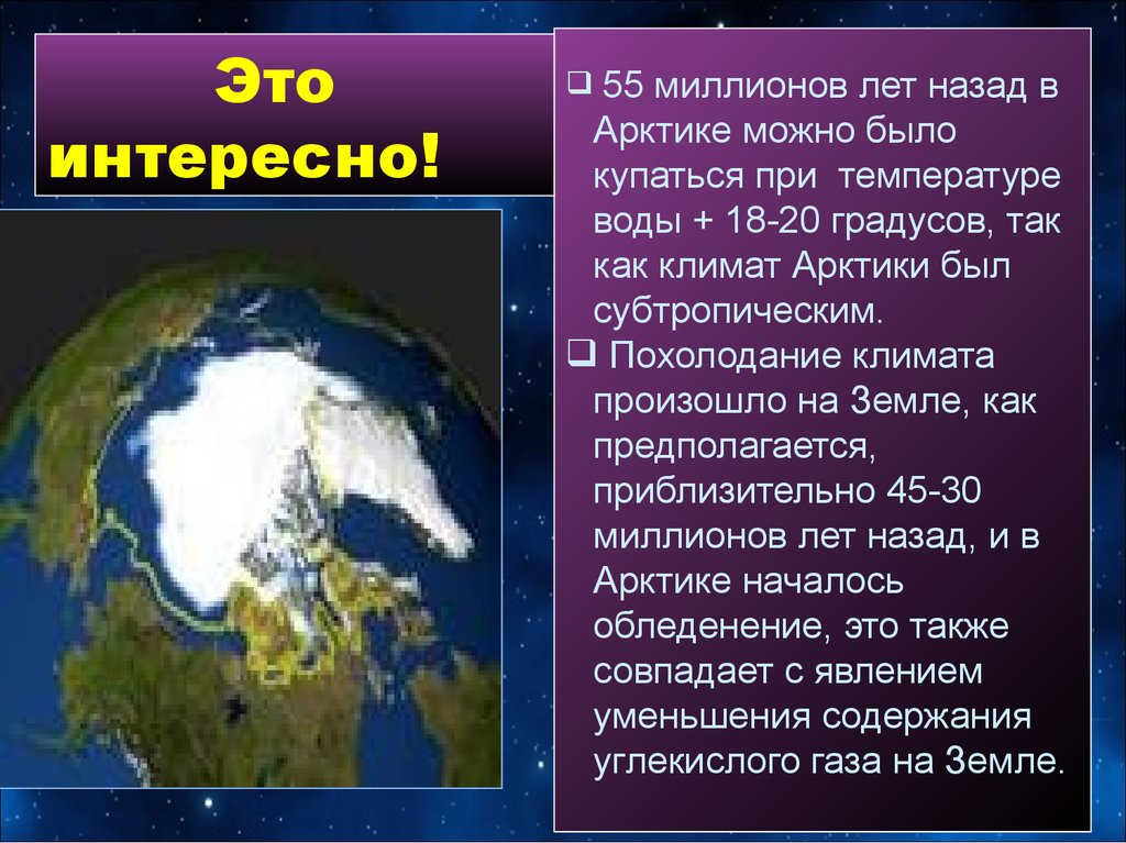 Средняя температура северного ледовитого океана. Рельеф и климат Северного Ледовитого океана. Северо Ледовитого океана доклад. Климат Северного Ледовитого океана кратко. Флора Северного Ледовитого океана кратко.