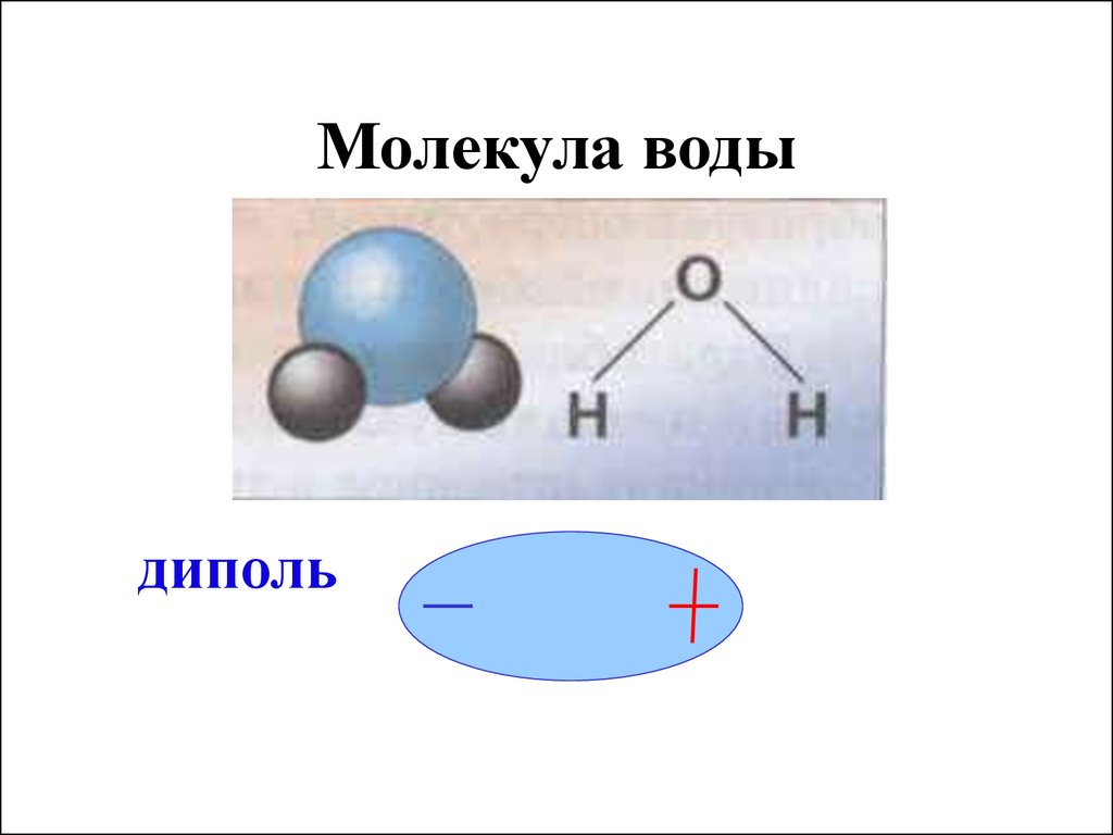 Части молекулы воды