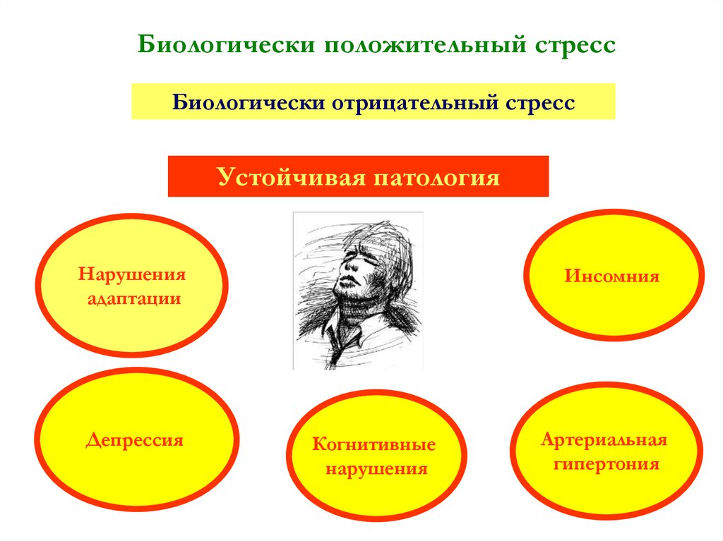 Стресс положительный и отрицательный. Нарушение адаптации стресс. Положительный и отрицательный стресс. Положительный стресс. Положительный стресс и отрицательный стресс.