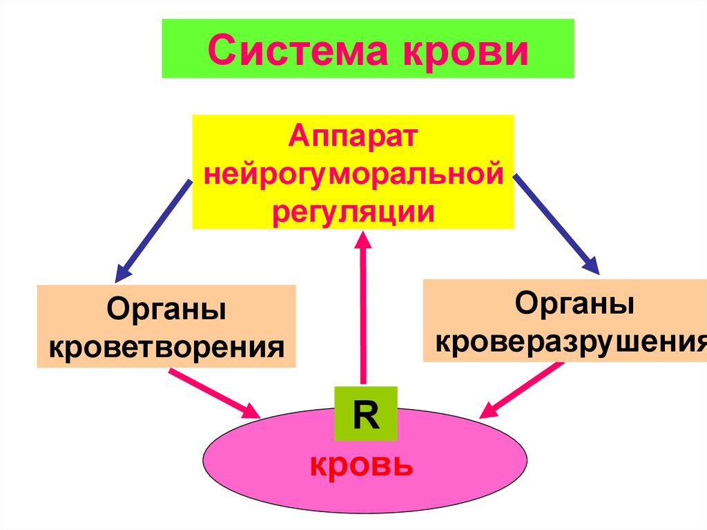 Нейрогуморальная регуляция презентация 6 класс пасечник