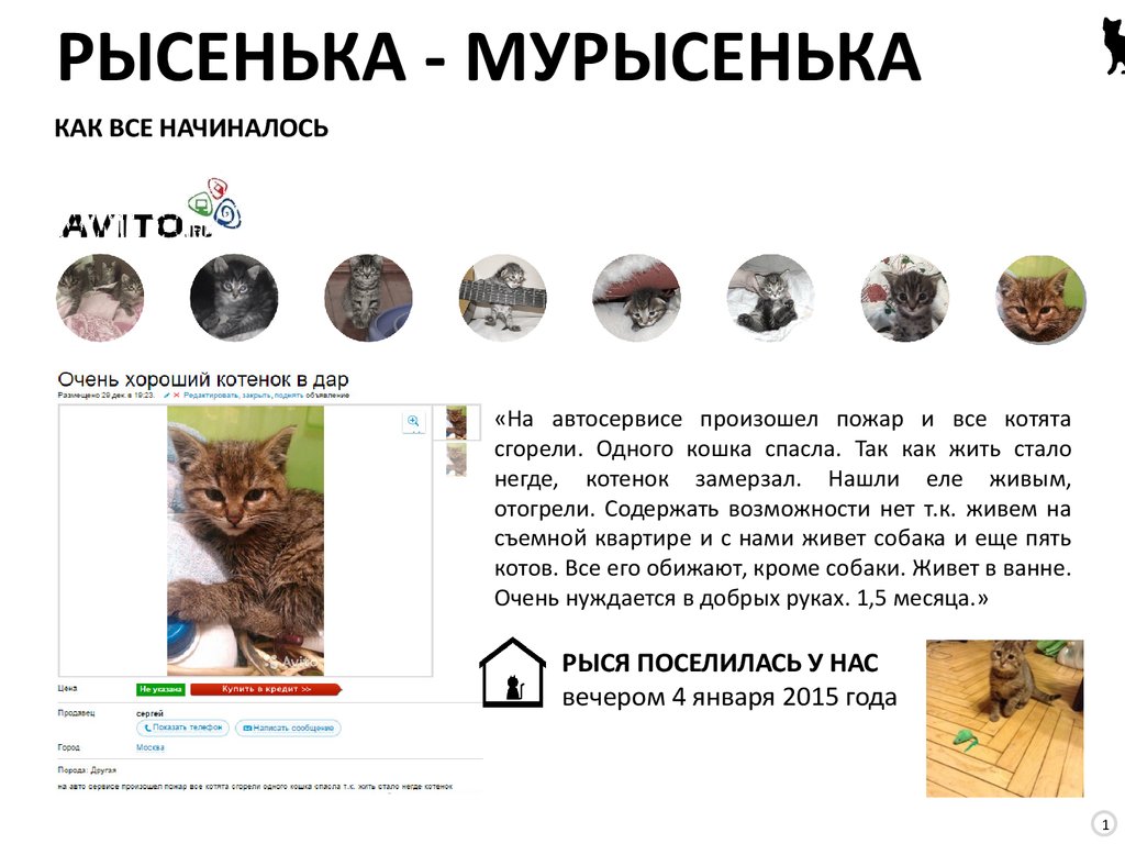 КАК ВСЕ НАЧИНАЛОСЬ