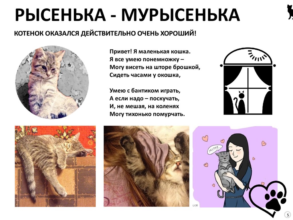 КОТЕНОК ОКАЗАЛСЯ ДЕЙСТВИТЕЛЬНО ОЧЕНЬ ХОРОШИЙ!