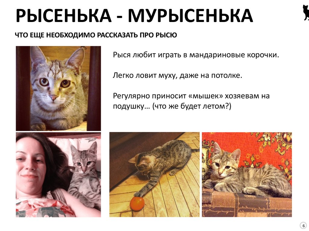 ЧТО ЕЩЕ НЕОБХОДИМО РАССКАЗАТЬ ПРО РЫСЮ