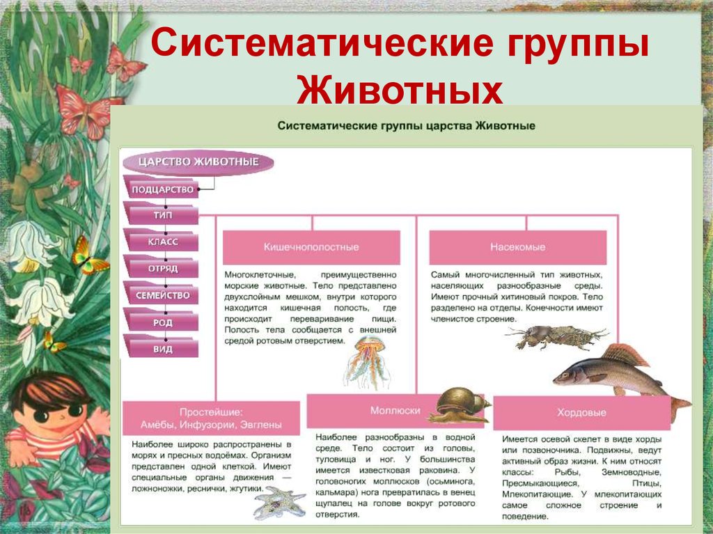 5 классов животных. Систе матические гоурпы животных. Систематически грппц животных. Систематически е 6руппы. Систематиматические группы.