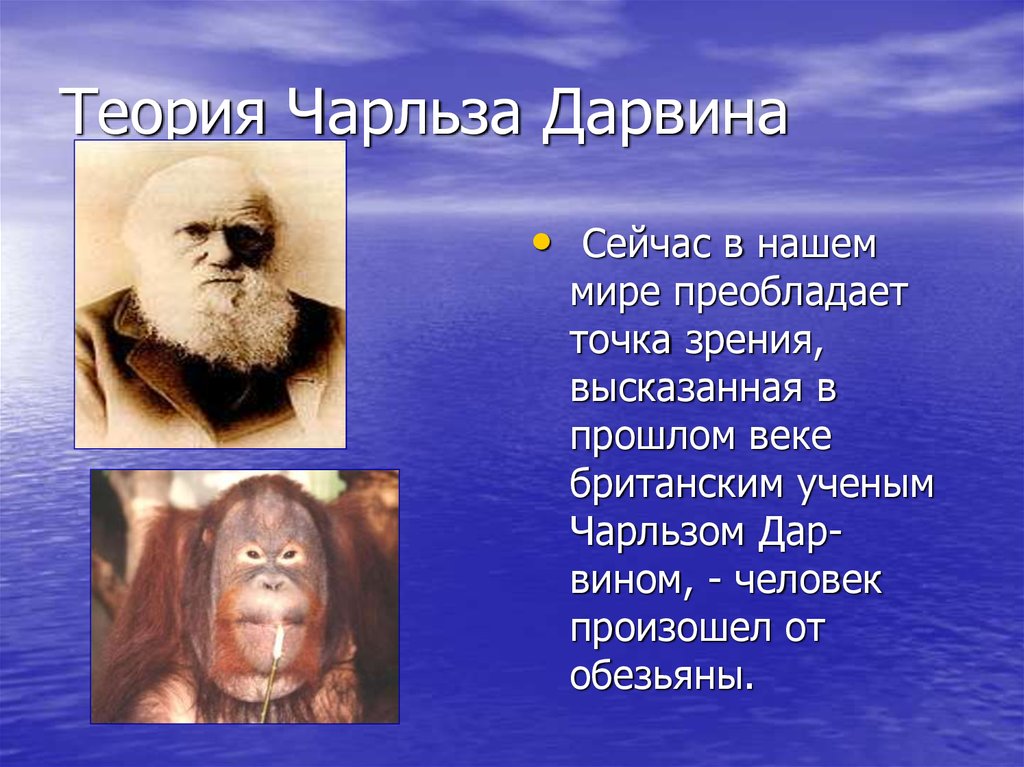 Теории про человека. Теория Чарльза Дарвина. Теория Дарвина о происхождении человека. Теория Дарвина о происхождении человека от обезьян.