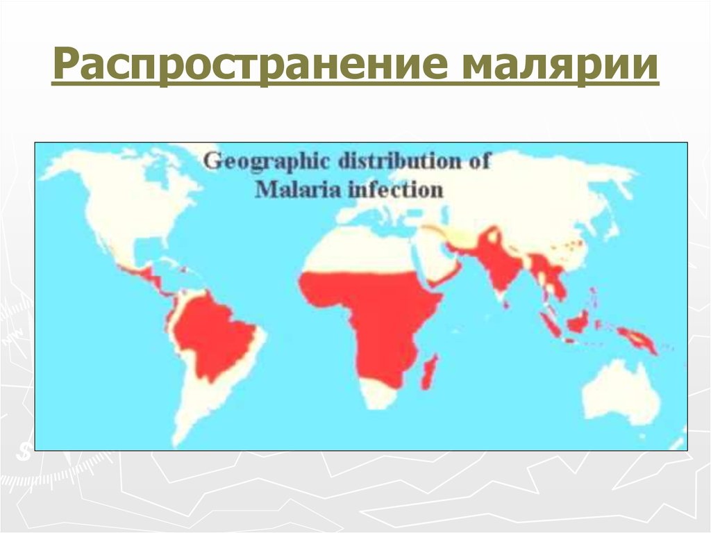 Малярия распространена. Малярийный плазмодий распространение. Малярия ареал распространения. Ареал распространения малярийного плазмодия. Малярийный плазмодий географическое распространение.